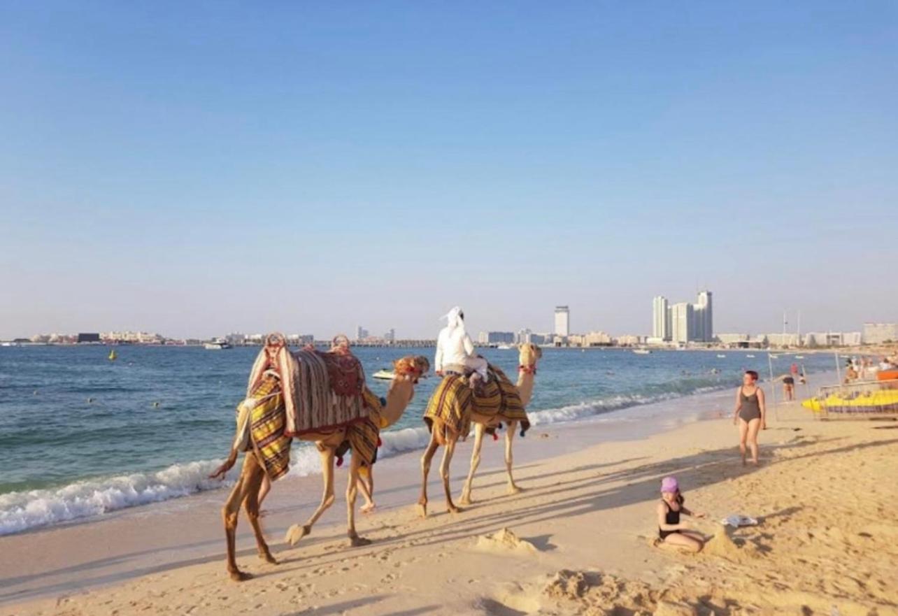 Seaview Beach Hostel Jbr - Walk To Beach - Gym - Pool - Metro Station 두바이 외부 사진